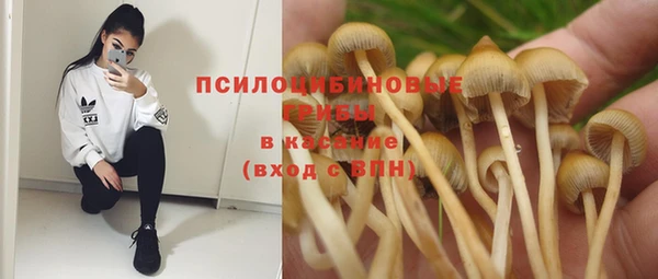 хмурый Абдулино